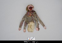 藏品(印度傀儡)的圖片